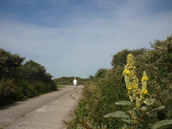 09.08.01.KNOKKE.GELE TOORTS