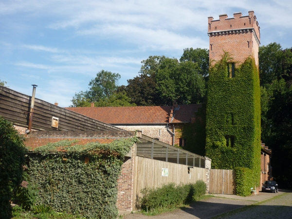 09.08.15.BEERNEM.VOGELAZIEL