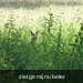 Afbeelding 283