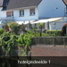 Afbeelding 284
