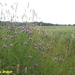 2009_07_05 Falaen 23