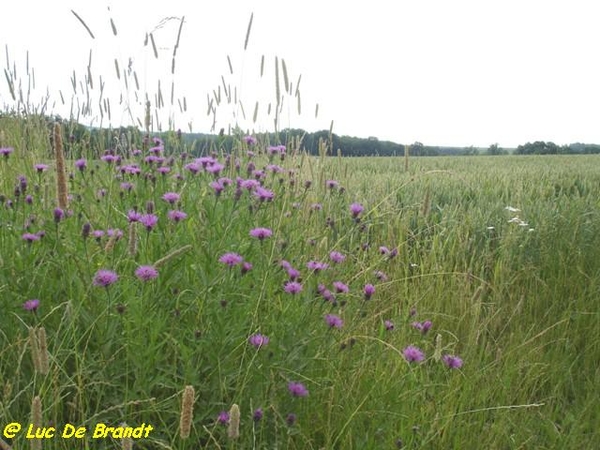 Ardennen Adeps wandeling Falaen