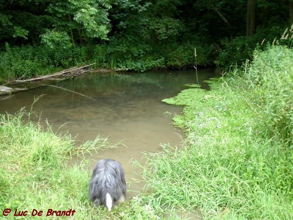 Ardennen Adeps wandeling Falaen