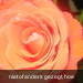 De Roos
