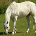 Is hij niet schattig