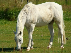 Is hij niet schattig