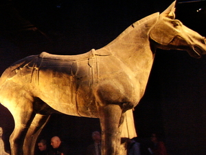 paard met terracotta zadel