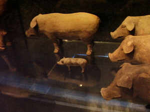 terracotta varkens