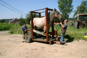 Hoefsmid200701