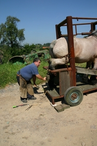 Hoefsmid200702