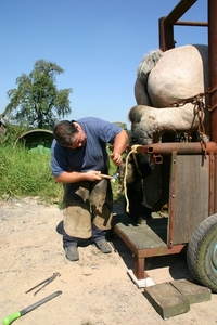 Hoefsmid200703