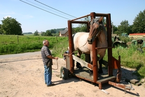 Hoefsmid200708