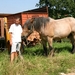 Hoefsmid200715