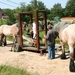 Hoefsmid200717
