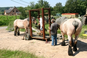 Hoefsmid200717