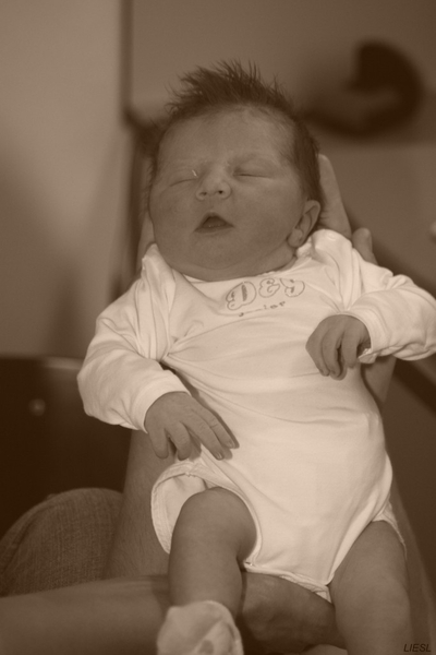 IMG_5556 [Desktop Resolutie]