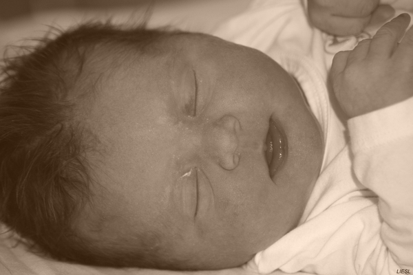 IMG_5599 [Desktop Resolutie]