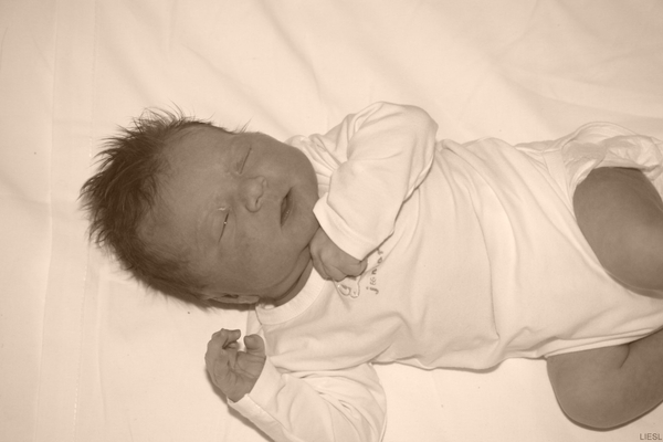 IMG_5606 [Desktop Resolutie] [Desktop Resolutie]