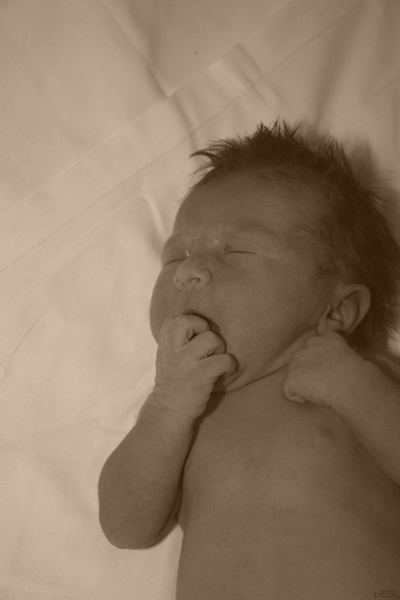 IMG_5620 [Desktop Resolutie] [Desktop Resolutie]