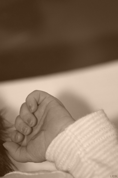 IMG_5627 [Desktop Resolutie] [Desktop Resolutie]