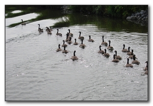 2009-07 Leie boottocht 021_tn