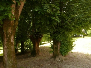 Château de Peyrac-5