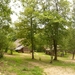 Village gaulois-16