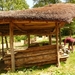 Village gaulois-6