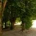 Château de Peyrac-5