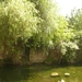 Verteuil-9