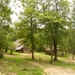 Village gaulois-16