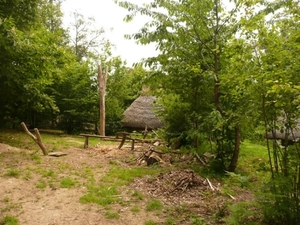 Village gaulois-18