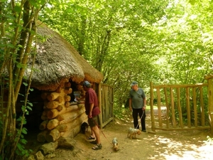 Village gaulois-2