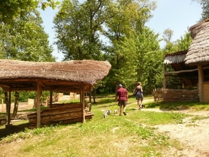 Village gaulois-5