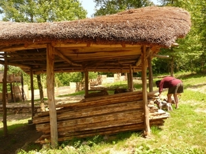Village gaulois-6