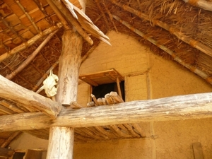 Village gaulois-9