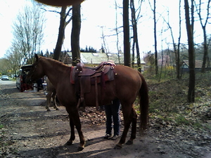 tocht meerdonk 035