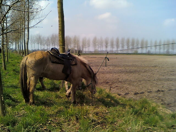 tocht meerdonk 050