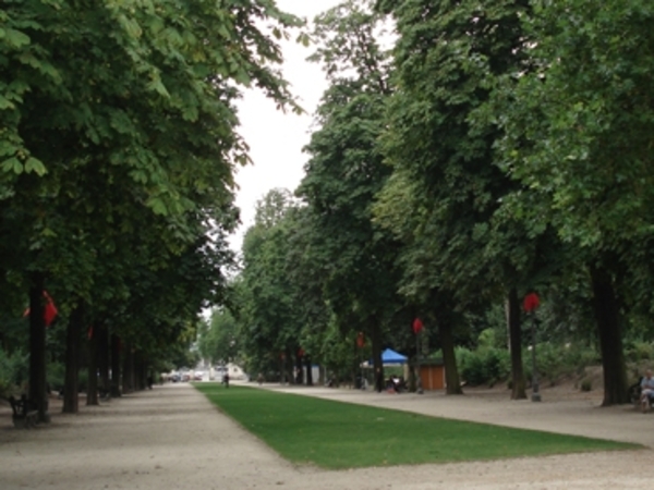 grote laan in park