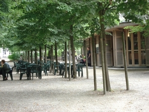 Zicht in het park