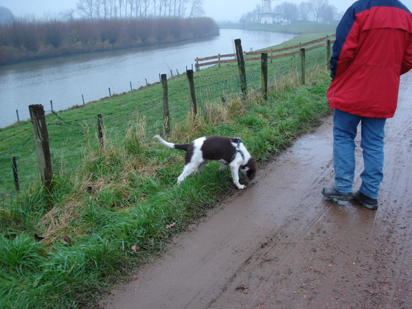 Dijk bij Enspijk 30-11-08 504