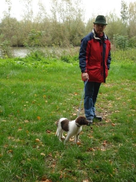 Arcil Mari�nwaerdt 19-10-09 360