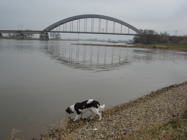 Culemborg 16-03-2009 919