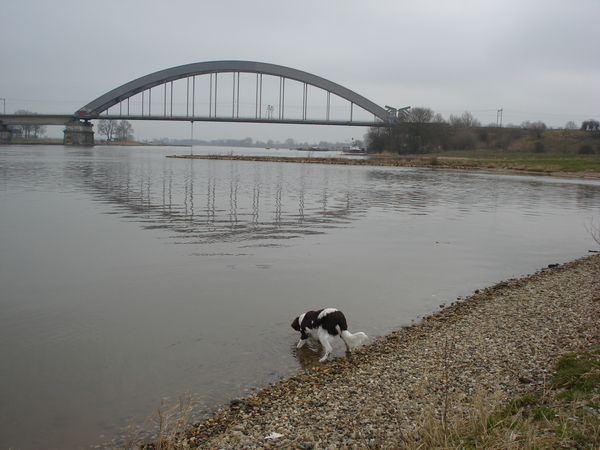 Culemborg 16-03-2009 920