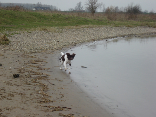 Culemborg 16-03-2009 923