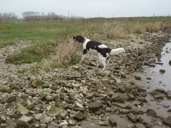 Culemborg 16-03-2009 929