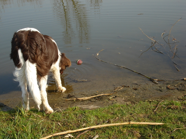 Marienwaerdt 03-04-2009 1021