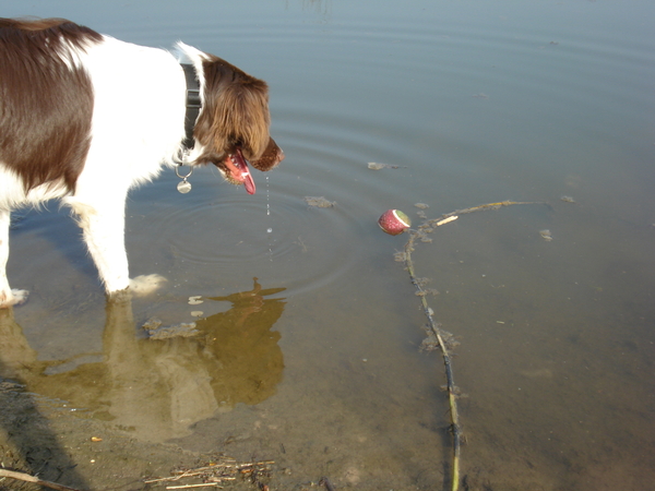 Marienwaerdt 03-04-2009 1022