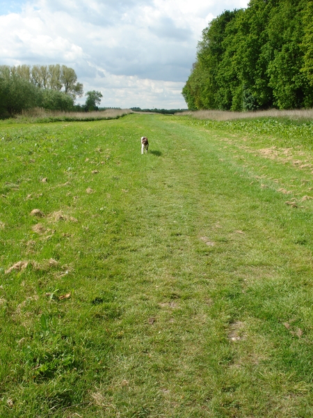 Marienwaerdt 04-05-2009 1243