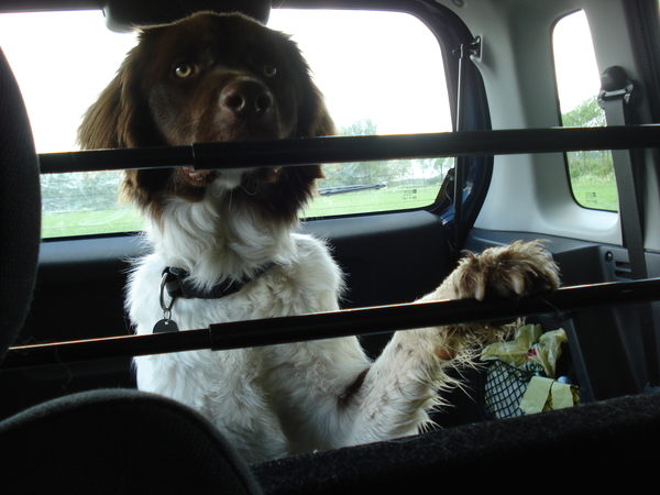 Marienwaerdt 04-05-2009 1257